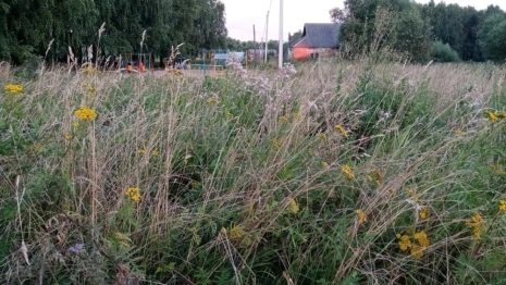 Следком начал проверку после смерти 15-летнего подростка в карьере под Юрьев-Польским