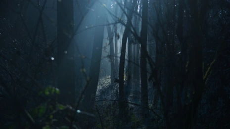 СК проведет проверку из-за найденного повешенным мужчины во Владимире