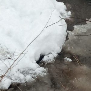 Прогноз погоды во Владимирской области на 3 марта 2026 года