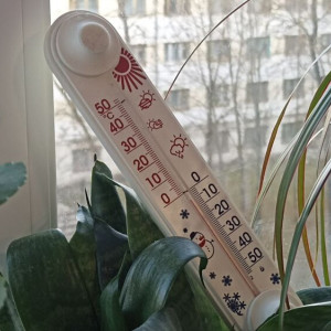 В выходные во Владимирскую область вернутся заморозки до -5