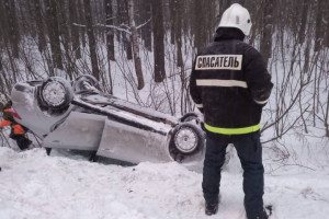 Во владимирском микрорайоне Долгая Лужа легковушка вылетела в кювет