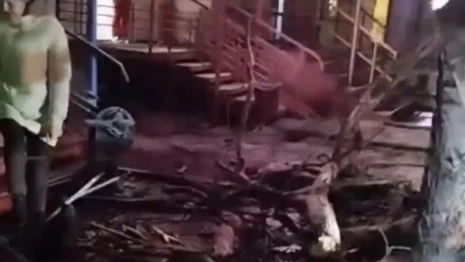 Падение дерева на прохожих в Гусь-Хрустальном привело к уголовному делу