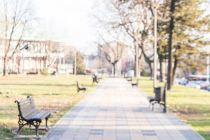 Жители Владимирской области собрали 15,5 млн рублей на благоустройство