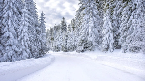 Прогноз погоды во Владимире и области на 12 января