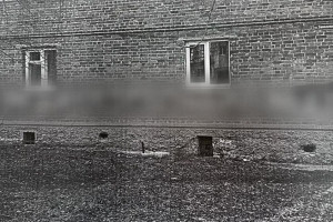 Владимирец ответит в суде за антивоенную надпись на стене дома