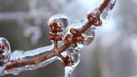 Владимирских водителей предупредили о ледяном дожде 