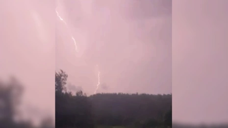 Последствия московского урагана «Охран» во Владимирской области показали на видео