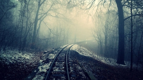 Во Владимирской области нашли мертвым 49-летнего мужчину с седыми волосами