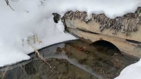 Во Владимирской области усилили контроль за чистотой водоемов