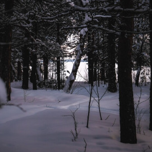 Во Владимире объявили повторные поиски 35-летнего мужчины на лыжах