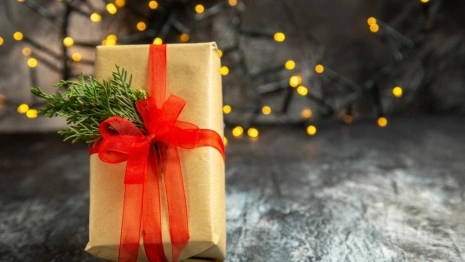 Владимирцев предупредили о новогодних схемах мошенничества