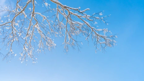 Прогноз погоды во Владимире и области на 1 декабря