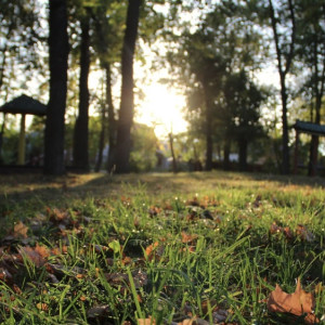 Во Владимирскую область придет почти майское тепло