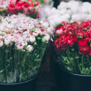 Школьникам Владимира предложили отказаться от букетов на 1 сентября