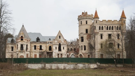 Во Владимирской области в имении Храповицкого высадили сибирские кедры