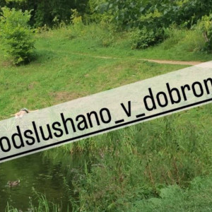 Во владимирском микрорайоне Доброе утонула женщина