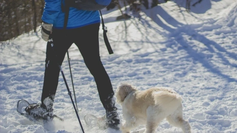 Во Владимирской области объявленного в розыск мужчину в синей куртке нашли живым