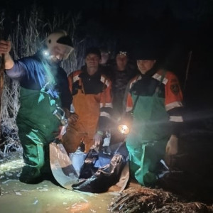 Под Владимиром нашли труп мужчины в болоте