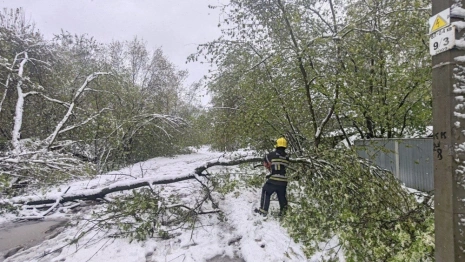 Мощный снегопад добрался еще до 2 районов Владимирской области