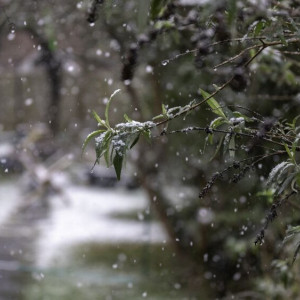 20-градусные морозы в декабре обойдут Владимирскую область стороной