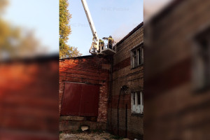 Причиной пожара на фабрике в Камешковском районе стала неисправная печь