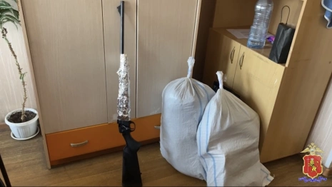 Житель Коврова застрелил двух лосей в лесу