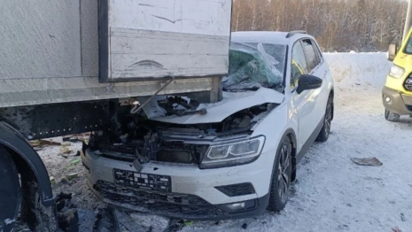 На М-12 во Владимирской области иномарка снесла загружавшего фуру пешехода