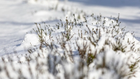 Прогноз погоды во Владимире и области на 28 ноября