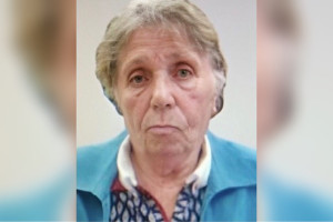 Во Владимирской области начали поиски 85-летней бабушки из Обнинска