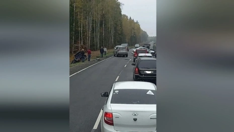 Полиция раскрыла подробности смертельного ДТП под Гусь-Хрустальным