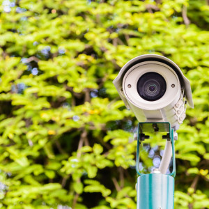 Во Владимирской области поставили 22 камеры