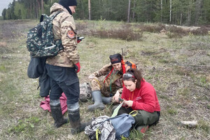 Владимирская область оказалась в лидерах по заявкам на поиски на природе
