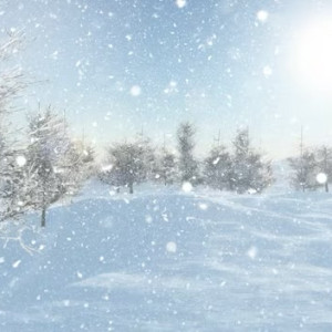 Жителей Владимирской области предупредили о сильном снеге и заносах