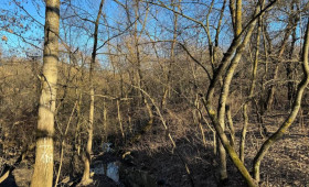 В парке у ДТЮ во Владимире пообещали построить самую крупную площадь в городе