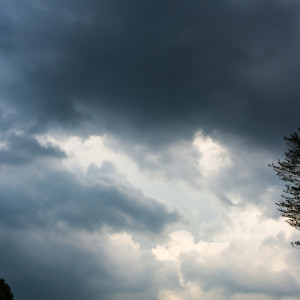 Прогноз погоды во Владимирской области на 9 ноября