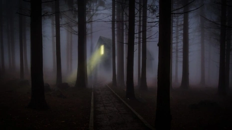 Ночной лес, ретротроллейбус и усадьба. Как пройдет «Ночь музеев» во Владимирской области