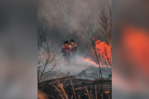 Во Владимирской области предупредили о пожарной опасности 4-го класса