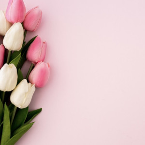 Владимирцев предупредили о новых схемах мошенников накануне 8 марта