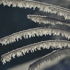 Прогноз погоды во Владимирской области на 5 февраля