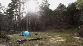 В Суздале обнаружили незаконный палаточный лагерь для детей