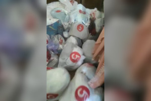 Захламленную пенсионеркой из Мурома квартиру показали на видео