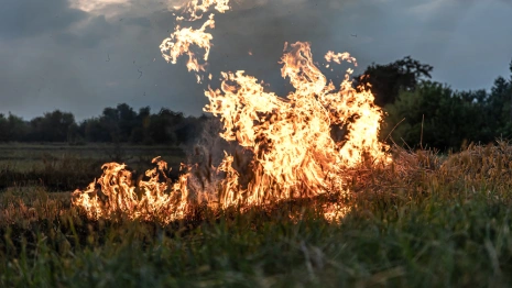 МЧС разослало предупреждение о природной опасности во Владимирской области