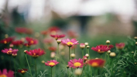 Во Владимирской области температура пойдет на спад