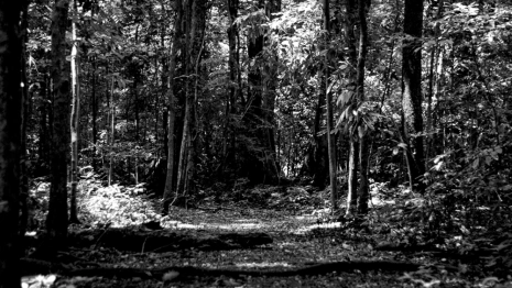 Пропавшего в Муроме 75-летнего пенсионера нашли мертвым
