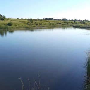 Во Владимире на озере Глубокое спасли мужчину