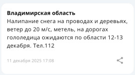 Во Владимирской области спрогнозировали метель 12 и 13 декабря