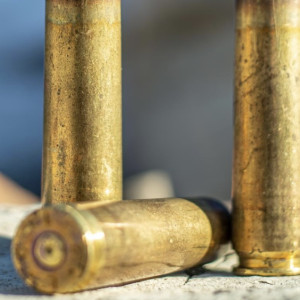 В гараже у жителя Петушинского района нашли ружье и самодельные патроны