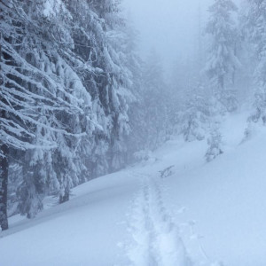 Мощный снегопад вновь накроет Владимирскую область