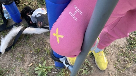 В Коврове девочка застряла в конструкции на детской площадке