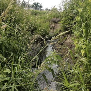 В реку Серая в Александровском районе сливали сточные воды
